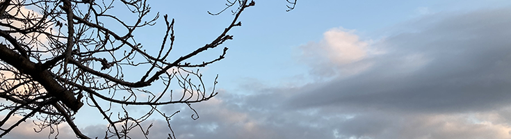 それを見た、ということとは