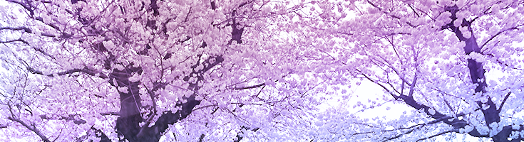 禅には何かある