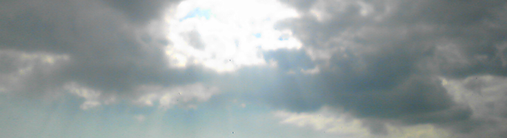 流れにまかせる