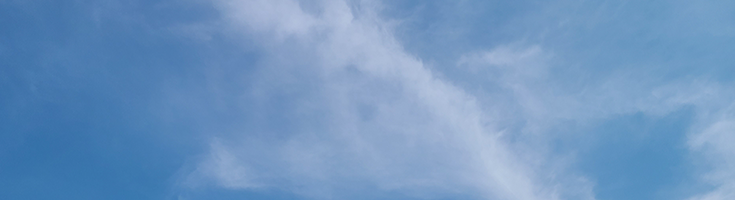 逆のものが入っているのです