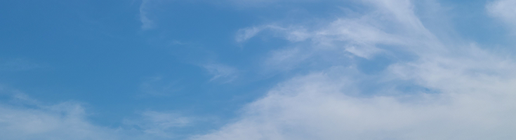 あるようにいれば