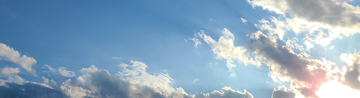 決めてきている