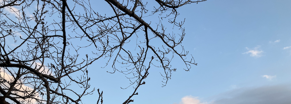 やっぱりそうかあ