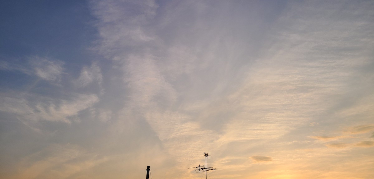 見ているものがすべて