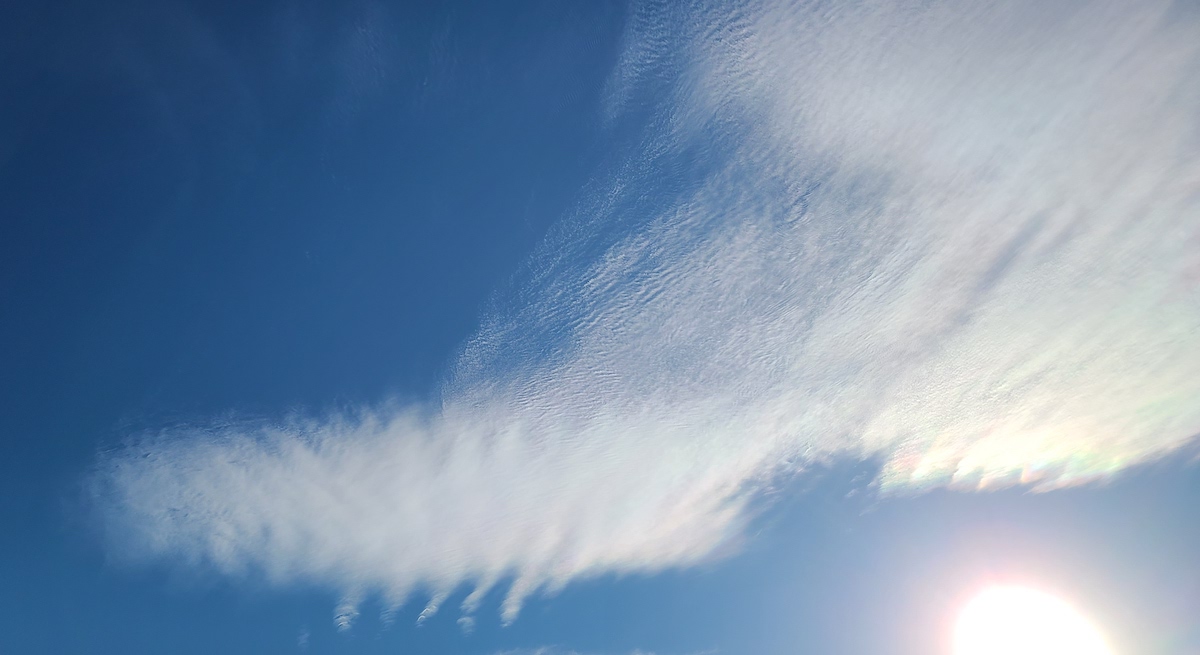 安心していていい