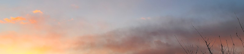 この世に居場所がない