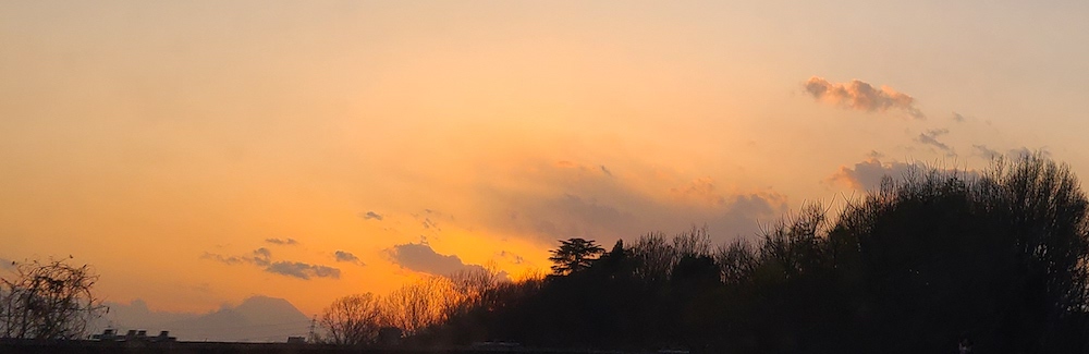 ないことがあるになった