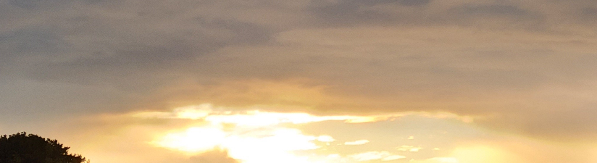 引き寄せている