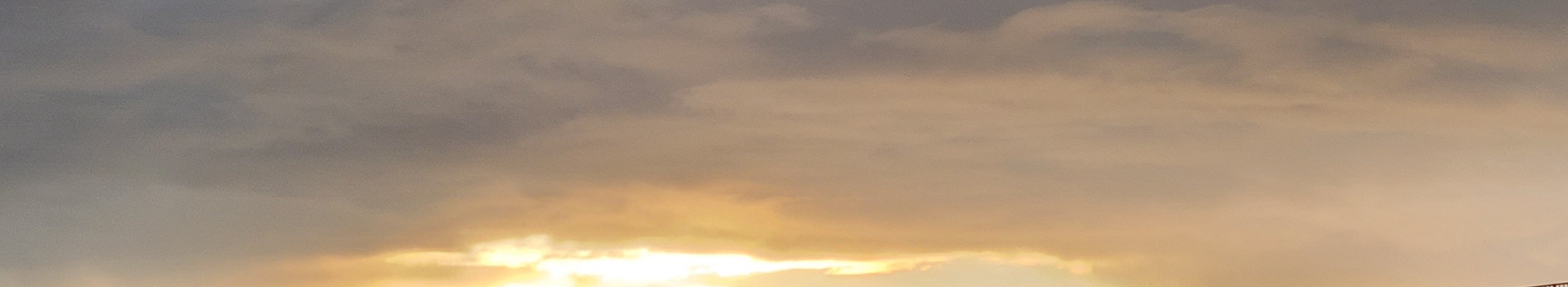 その日が来るときまでに