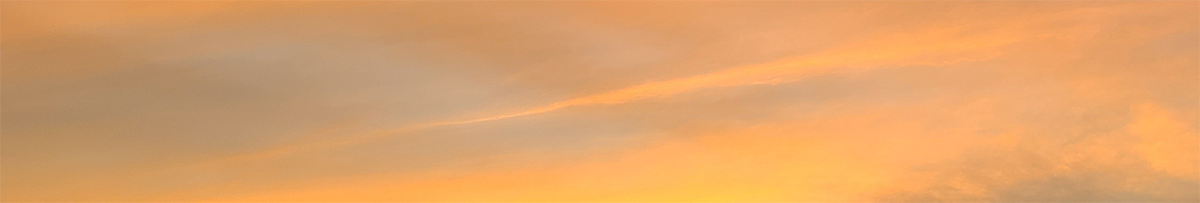 引き寄せるもの