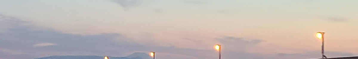 そこにはない、いない