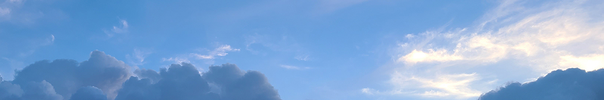 それも選んできたのだから