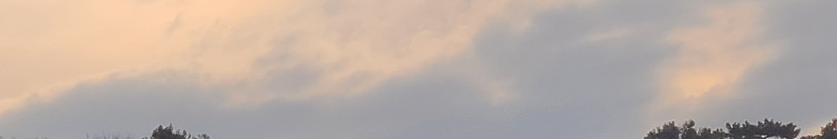 今見えるものを見る